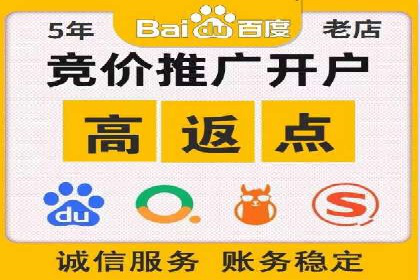 SEM外包策略在电商平台的成功案例